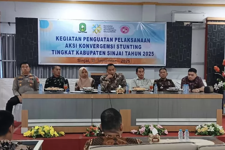 Wabup Sinjai Andi Mahyanto Mazda memberikan arahan di kegiatan Penguatan Pelaksanaan Aksi Konvergensi Stunting. (Humas Pemkab Sinjai)