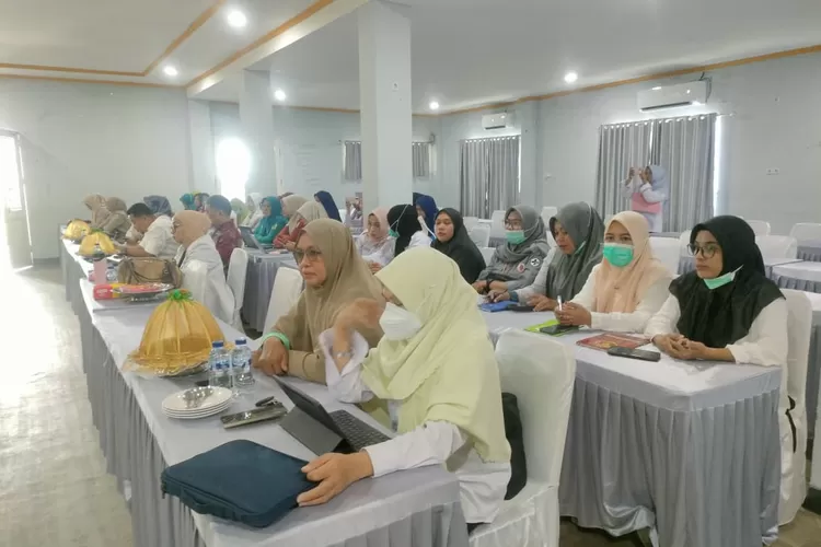 Dinkes Sinjai gelar Desiminasi Audit Maternal Perinatal.