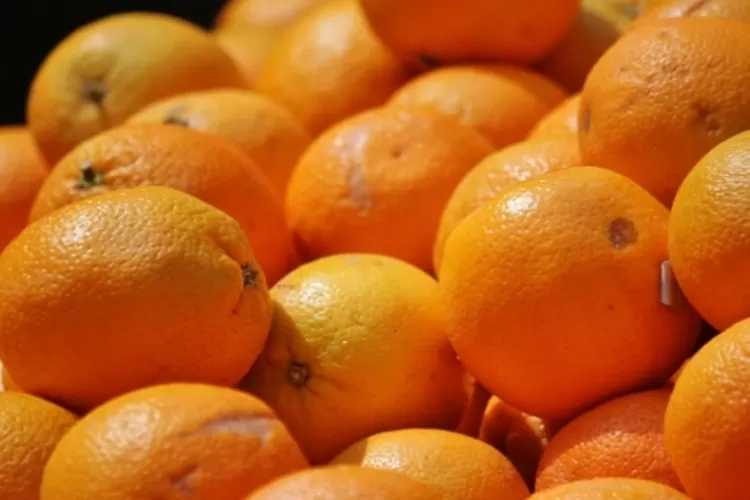 Cara Merawat Wajah Menggunakan Kulit Jeruk  (Pixabay / cocoparisienne)