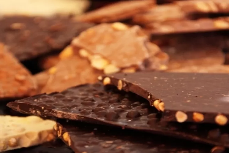 Beberapa Makanan ini Bisa Timbulkan Jerawat  (Pixabay / PublicDomainPictures)