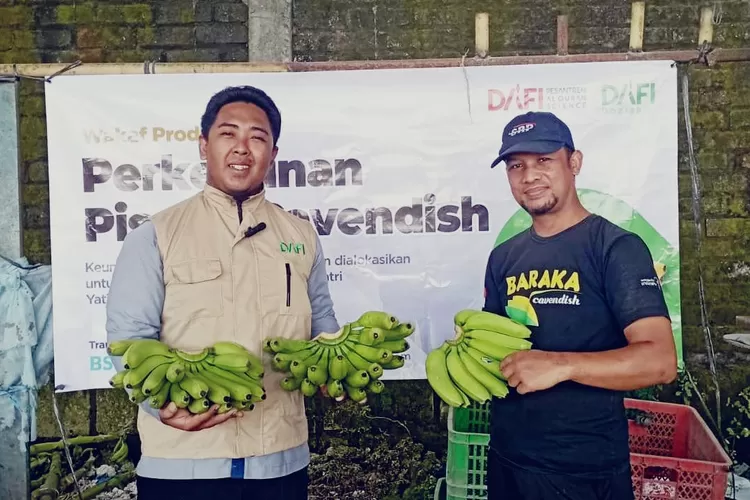 Dafi Pesantren Alquran Science melalui Baziskaf menunjukkan komitmennya dalam memajukan pendidikan lewat wakaf kebun pisang. 