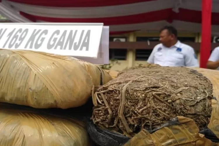 Pengedar Ganja Kering di Cirebon Ditangkap (Instagram/@satudewan7821)  &nbsp;