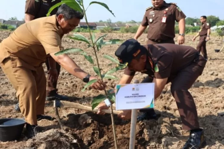 HUT Ke-80 Kejari Kabupaten Cirebon Tanam 100 Pohon Untuk Menjaga Lingkungan