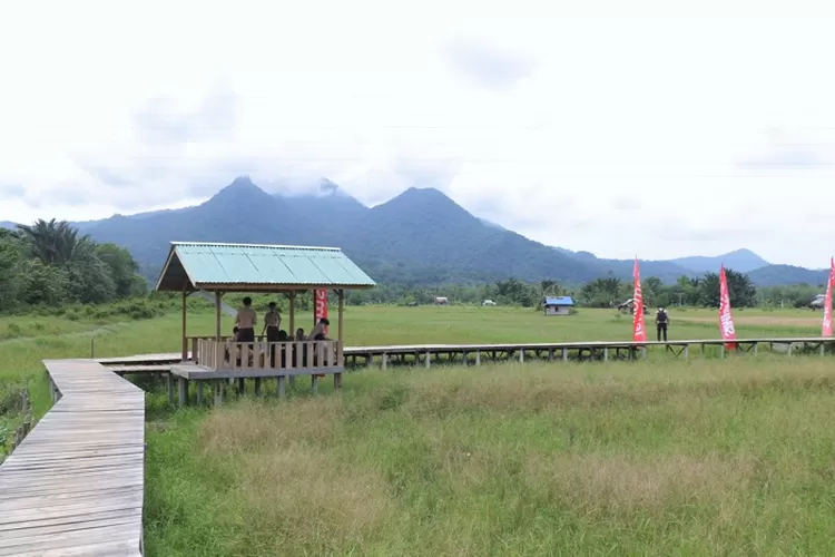 Agro Eduwisata Nyarumkop