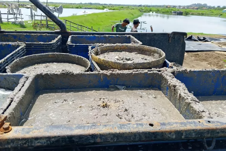 Ratusan warga Desa Kalisapu, Kecamatan Gunung Jati, Kabupaten Cirebon, menolak aktivitas produksi pakan ternak.