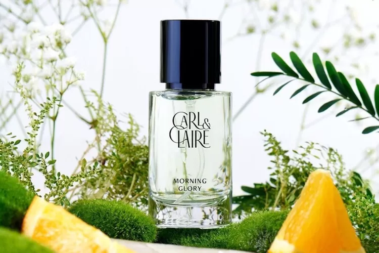 5 Rekomendasi Parfum Murah Tahan Lama, Cocok bagi kawula muda untuk