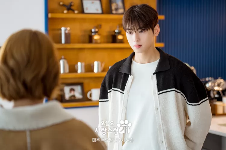 Spoiler, jadwal tayang dan link nonton A Good Day to Be a Dog episode 12 sub Indo (soompi.com)