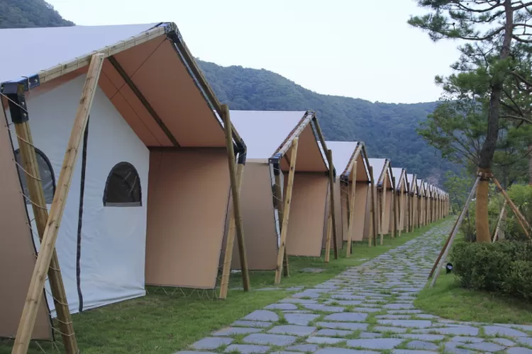 Rekomendasi Tempat Wisata Glamping Di Jawa Timur Wisata Camping