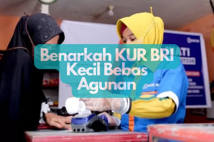 Benarkah KUR BRI Kecil Bebas Agunan? Simak Jawabannya Dan Catat Hal-hal ...