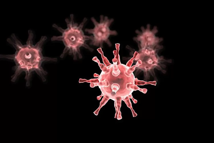 Kasus Baru Virus Nipah Muncul di India, Waspada! Tingkat Kematian Lebih Tinggi dari Covid-19