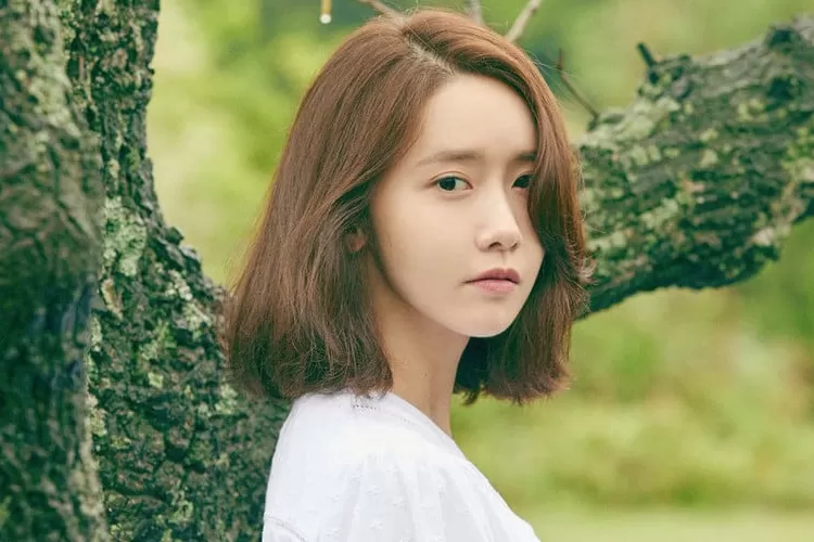 Lirik Lagu Yoona SNSD Deoksung Stonewall Walkway, Lengkap Dengan