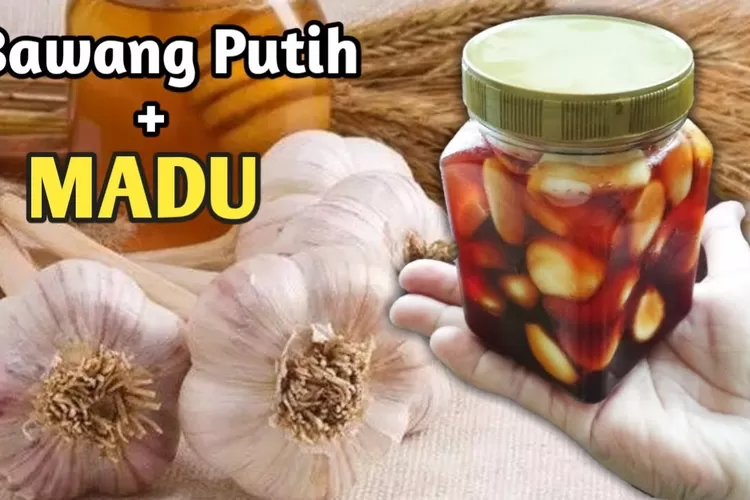 Tips Jaga Imun Di Musim Pancaroba Dengan Konsumsi Minuman Herbal Ala Dr ...