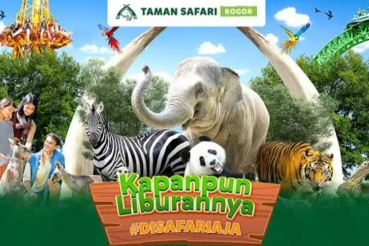 Tman Safari Indonesia akarab disebut Taman Safari Bogor di Cisarua Jawa Barat.  Bogor (News Taman Safari Indonesia)