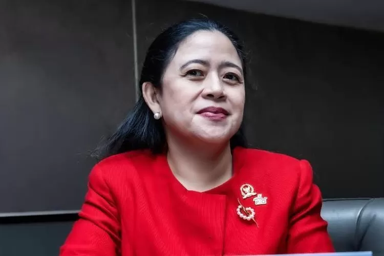 Potret Puan Maharani, ketua DPR RI. (@puanmaharaniri Via Instagram)