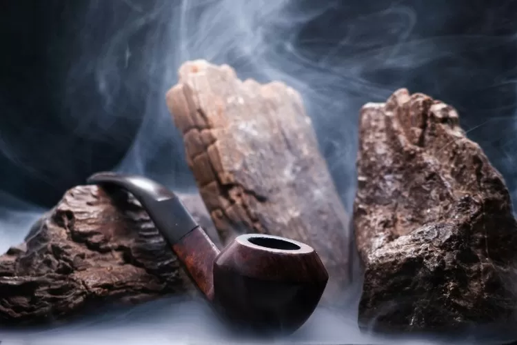 Menyoroti pandangan influencer, dr. Indrawan Nugroho terkait perkembangan industri tembakau di Indonesia.  ((Unsplash.com/@Katmed))