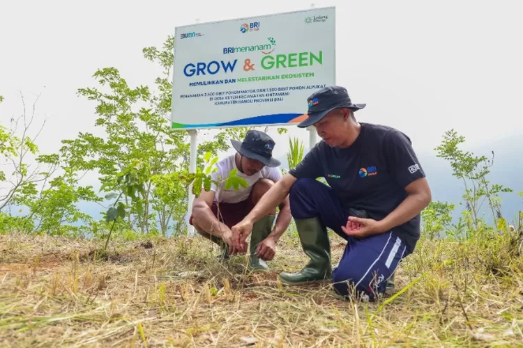 BRI Peduli Lingkungan Lewat Program BRI Menanam - Grow &amp; Green di Desa Kutuh (Dok. BRI)