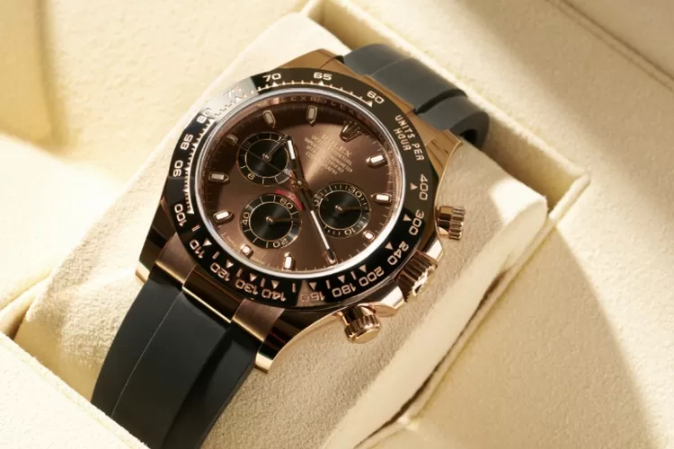 Beli rolex 2024