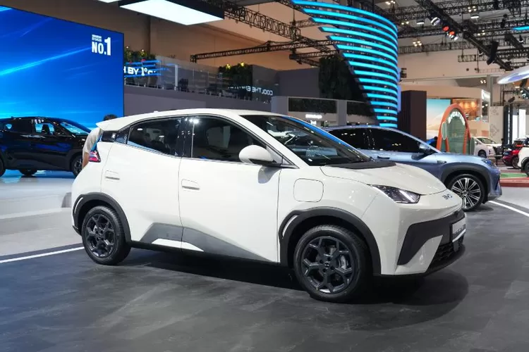 Murah Banget! Ini Daftar Pajak Tahunan Mobil Listrik BYD Semua Model. (Foto/Istimewa.)