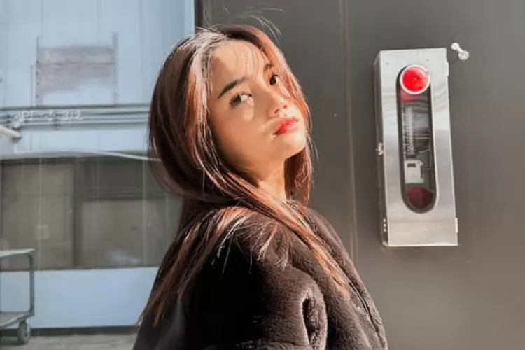 Tiktokers ini sebut jika masa kejayaan dari Fuji akan segera berakhir, minta jangan boros dan rajin menabung (Instagram fuji_an)