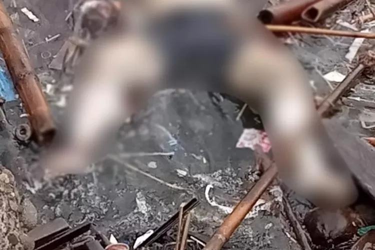 Tim SAR temukan 1 korban Warga Negara Taiwan yang tenggelam dari kecelakaan KM Pari Kudus. (Humas Bakamla RI)