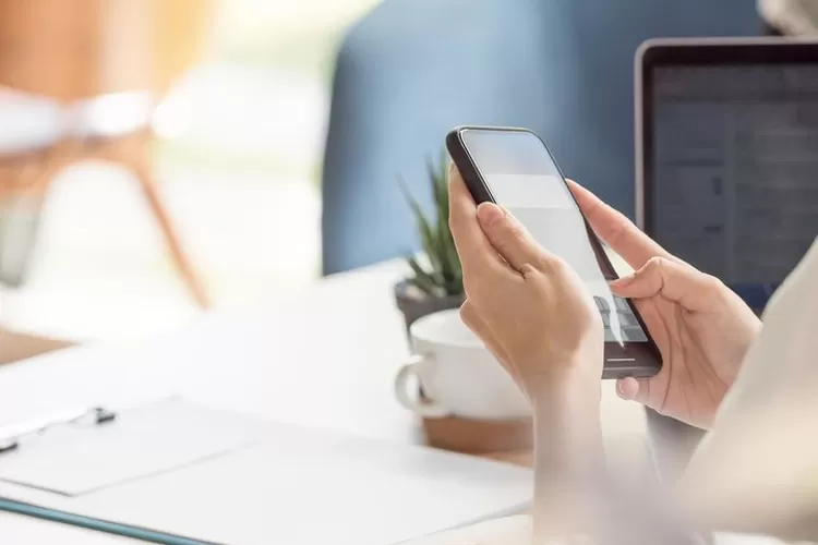 scam  (Foto: ilustrasi)