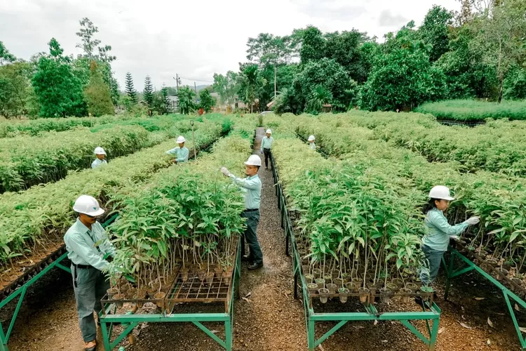 Holding Industri Pertambangan Indonesia MIND ID Kokohkan Fondasi ESG untuk Hilirisasi Masa Depan Berkelanjutan RI