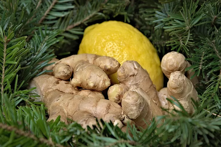 Ini dia resep obat herbal atasi badan meriang ala dokter Zaidul Akbar (Pixabay)