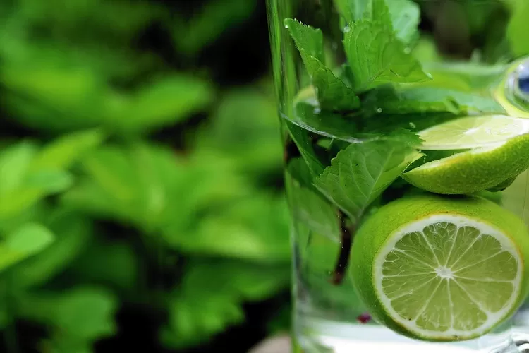 Ini resep obat herbal untuk radang tenggorokan dan kolsterol (Pixabay)