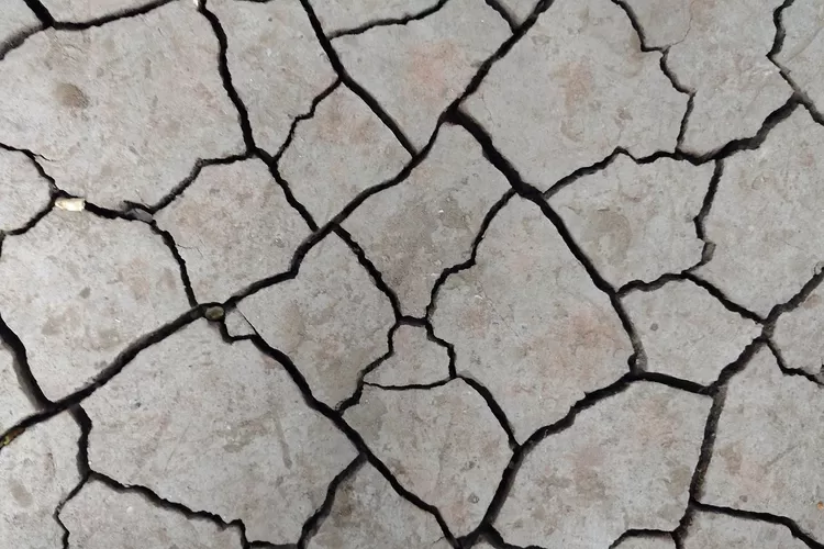 Usai gempa bumi di Aceh, menyebabkan air laut surut, netizen buka suara (Pixabay)