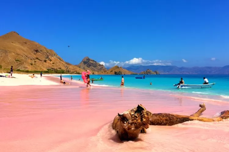 Ketahui 3 Destinasi Wisata Pantai dengan Pasir Berwarna Pink yang Mempesona  di Seluruh Dunia - Wanodia - Halaman 2