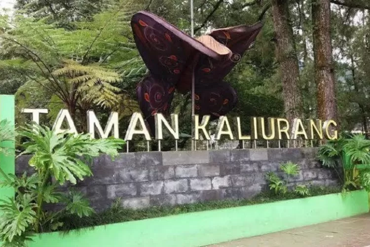 Taman Wisata Kaliurang di Sleman, Yogyakarta  yang menyajikan  wisata alam dengan  pemandangan yang indah dan udaranya yang sejuk.