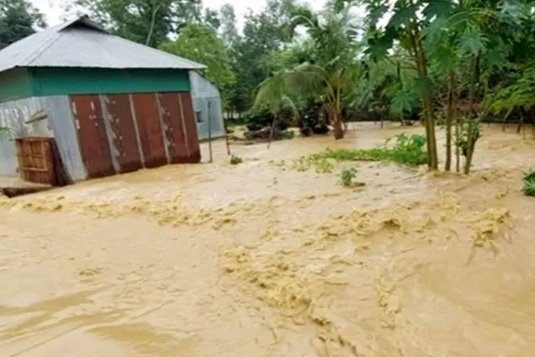 Ilustrasi banjir bandang (pixabay/ srjewel )