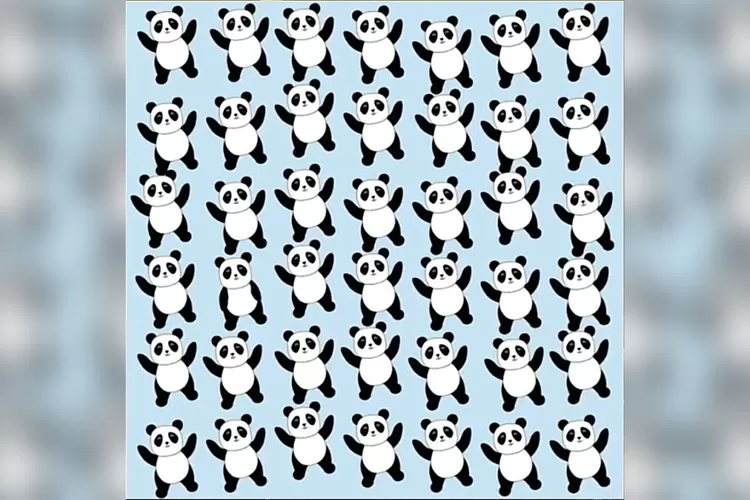 Tes Penglihatan Yakin Kamu Si Paling Teliti Temukan Panda Paling Berbeda Pada Gambar Dalam 10 4115
