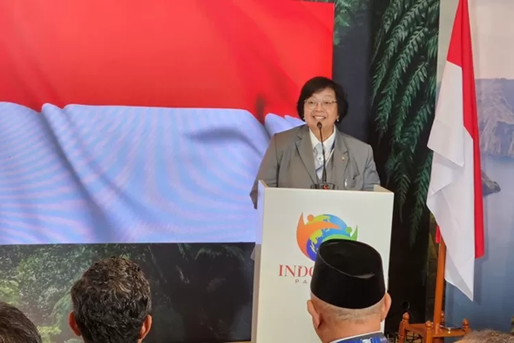 COP28 Dubai: Indonesia Tegaskan Komitmen Dalam Aksi Perubahan Iklim ...