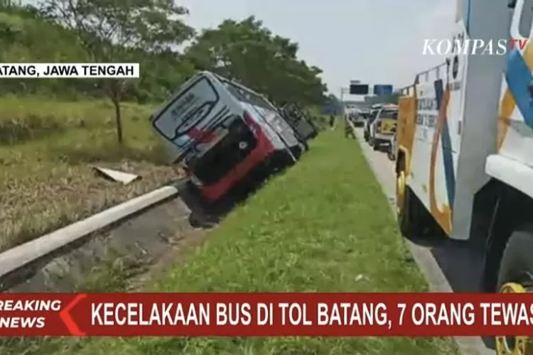 Kronologi Bus Rosalia Indah Kecelakaan Di Tol Batang Yang Akibatkan 7 ...