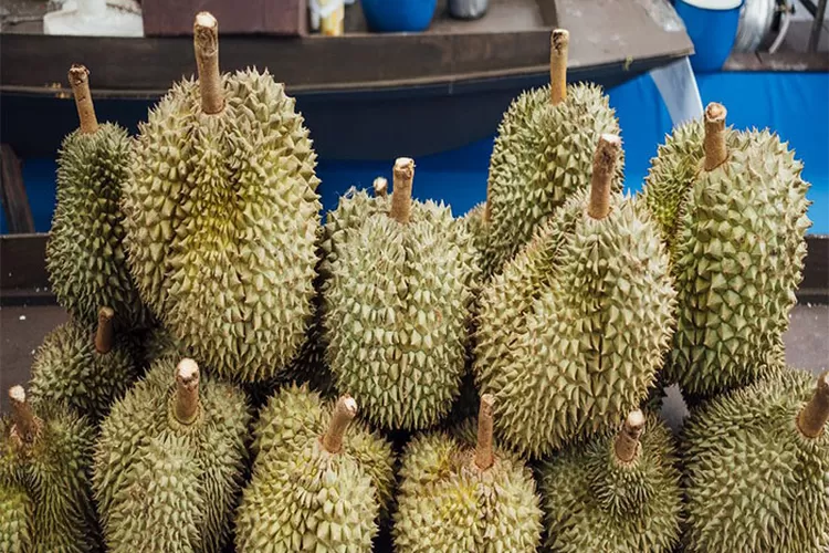 5 Tempat Makan Durian di Semarang 100 Ribu Dapat 3 Makan Sampai Klenger!