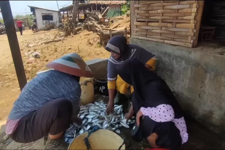 Hasil tangkapan ikan nelayan Kendal masih minim faktor cuaca yang belum bersahabat karena angin kencang.  ((edi prayitno/contributor Kendal))