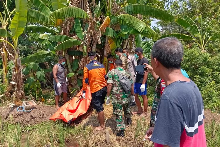 Tim SAR dan petugas Polsek Weleri mengevakuasi jenasah Tugimin yang ditemukan tewas di sawah di Jalan Lingkar Weleri Jumat 27Oktober 2023. ((edi prayitno/kontributorr Kendal))