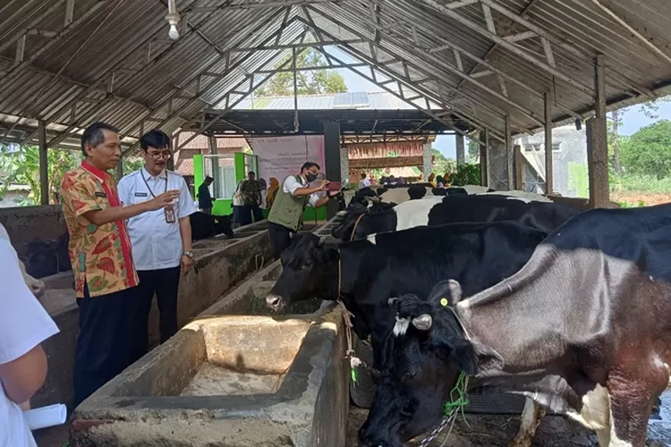 Kelompok Tani Ternak Sido Makmur asal Semarang juara Lomba KTT Sapi Perah Jateng.  (Humas Pemkot)