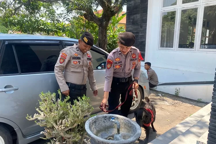 Petugas mengerahkan anjing pelacak untuk sterilisasi Kantor KPU Kendal Sabtu 4 November 2023. (edi prayitno/kontributor Kendal)