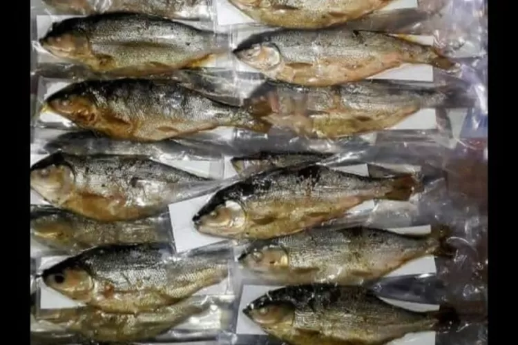 Sajian oleh oleh bandeng presto khas Desa Wisata Jatirogo, Kecamatan Bonang, Kabupaten Demak. (dok)