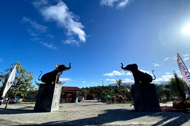 Telaga Kusuma Karanganyar (Dok Google Irvan Maulana)