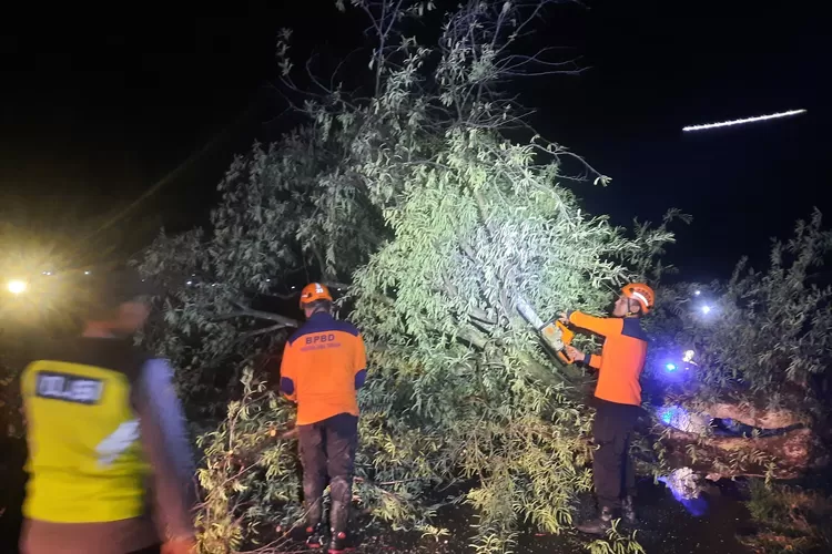 Kondisi rumah warga yang tertimpa pohon akibat angin kencang Rabu 22 November 2023 malam. (Dokumen BPBD Kendal)