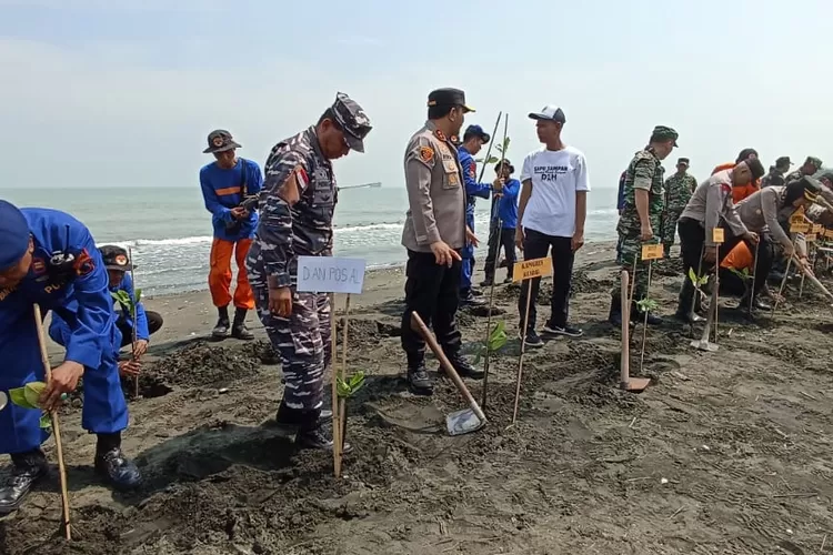 Penanaman pohon di Pantai Ngebum Mororejo Kaliwungu dalam rangka HUT Polairud ke 73, Jumat 24 November 2023. (edi prayitno/kontributor Kendal)