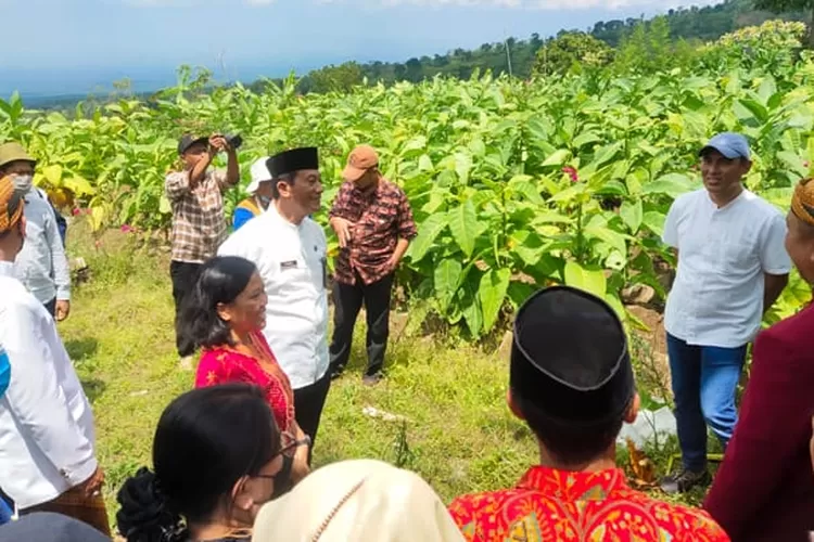 Kegiatan Danone-AQUA saat mengecek konservasi di Tamansari Boyolali.  ((AQUA))