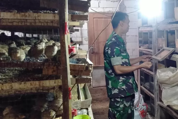 Babinsa Koramil 04/Bawang Kodim 0736/Batang Sertu Tarwadi saat membersihkan kandang.  (Foto: Istimewa.)
