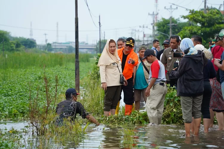 Wali Kota Semarang Hevearita Gunaryanti Rahayu saat meninjau banjir di wilayah Kaligawe. (Dok. Humas Pemkot)