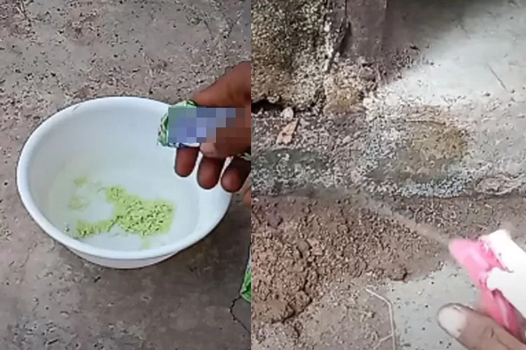 Ramuan pembasmi semut merah dengan modal sabun colek seribuan serta bahan dapur. (Tangkap layar Youtube IDE KREATIF CHANNEL)