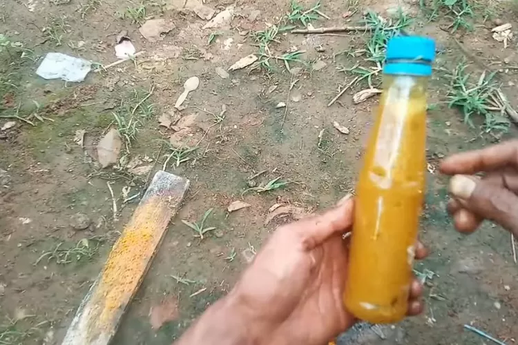 Racikan Insektisida Organik pengusir hama (YouTube dk y Garden)