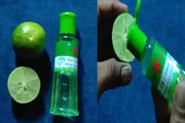 cara membuat ramuan campuran jeruk nipis dan minyak katu putih menjadi perut langsing (istimewa)